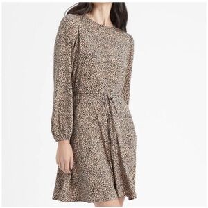 Banana Republic Leopard Print Long Sleeve Dress